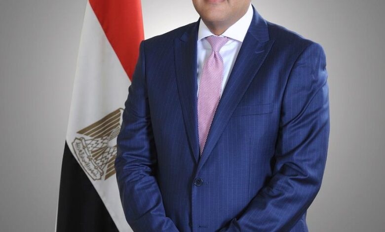 A formal studio-style portrait of a man in a blue suit and pink tie standing beside an Egyptian flag against a neutral grey background.