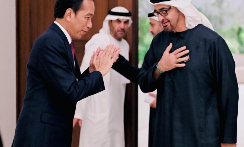 رئيس الإمارات والرئيس الأوكراني يبحثان التعاون الثنائي وجهود الوساطة الإنسانية