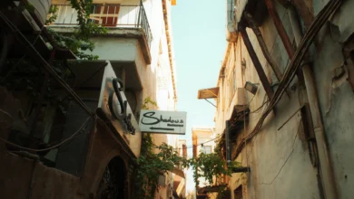 بحث تعزيز التنسيق بين هيئة العدالة الانتقالية ومجلس الصلح العام في سوريا