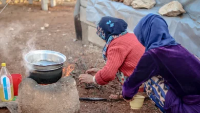 الزراعة السورية تعلن السيطرة على 86 حريقاً وتُحذر من مخاطر الألغام